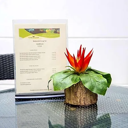 Hotel Varanasi Boutique Aeropuerto